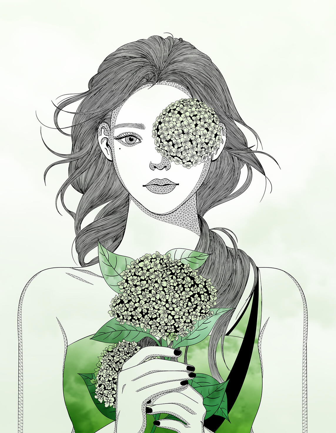 Hydrangea